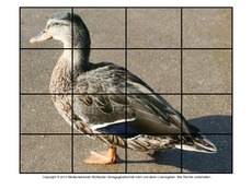 Puzzle-Stockente-3.pdf